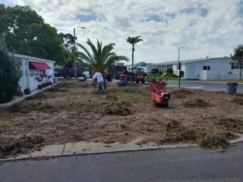 Sod Lawn Services