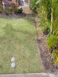 Clean lawn edge lined with stones and palms