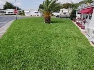 Lawn Maintenance