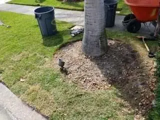 Mulch Services