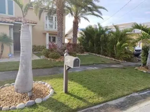 New Sod in Pinellas County: What the First Weeks Ask of You